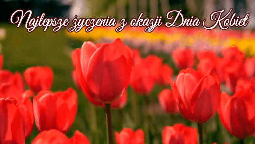 8 marca! Gify z Okazji Dnia Kobiet! Międzynarodowy Dzień Kobiet!