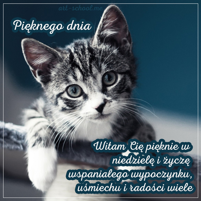 Pięknego dnia Dzień dobry w niedzielę Miłego dnia życzę wszystkim