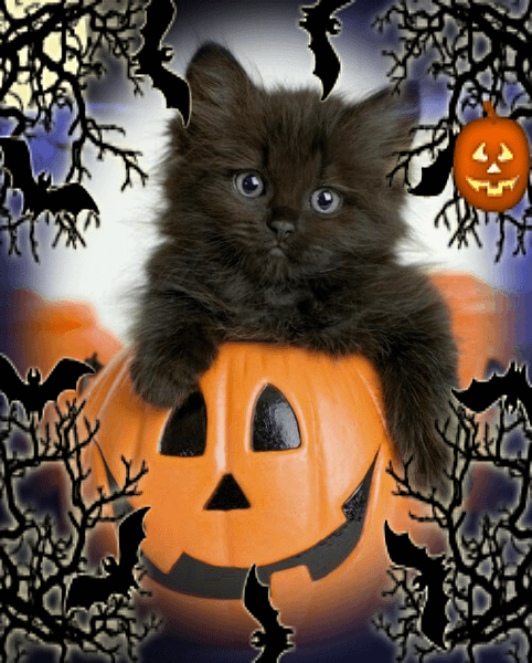 Gif wesołego halloween cute!
