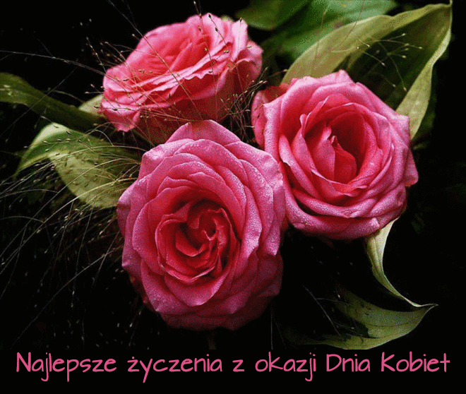 GIF z trzema różowymi różami! Trzy różowe róże!