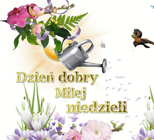 Gify Miłej niedzieli! Miłej niedzieli! Dzień dobry w niedzielę! Kartki! Kawa!