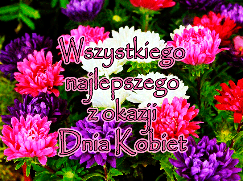 Kwiaty! Międzynarodowy Dzień Kobiet! Gify i obrazki!