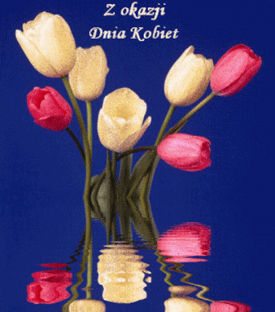 kwiaty na Dzień Kobiet gify! Tulipany.