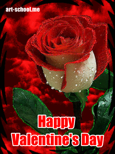 Walentynki! Happy Valentine's Day! Róże! Róża!