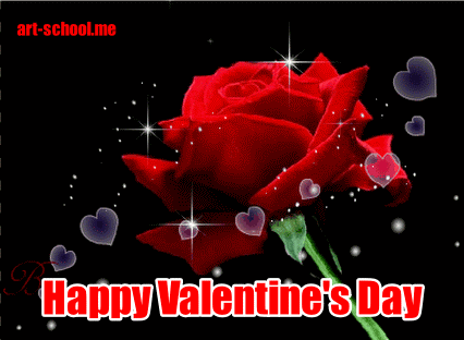 Walentynki! Happy Valentine's Day! Róże! Róża!