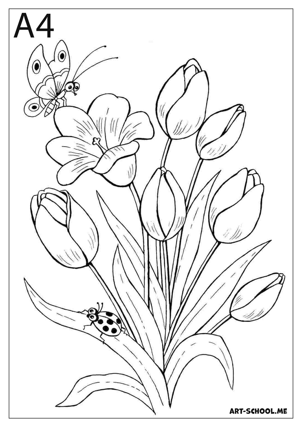 Wiosenne kwiaty! Tulipany!
