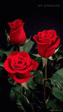 Bukiet kwiatów! GIF! Bukiety z czerwonymi różami dla kobiety!