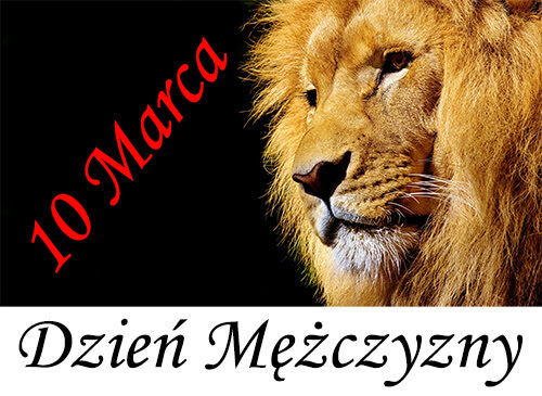 Dzień Mężczyzn! Oryginalne życzenia!