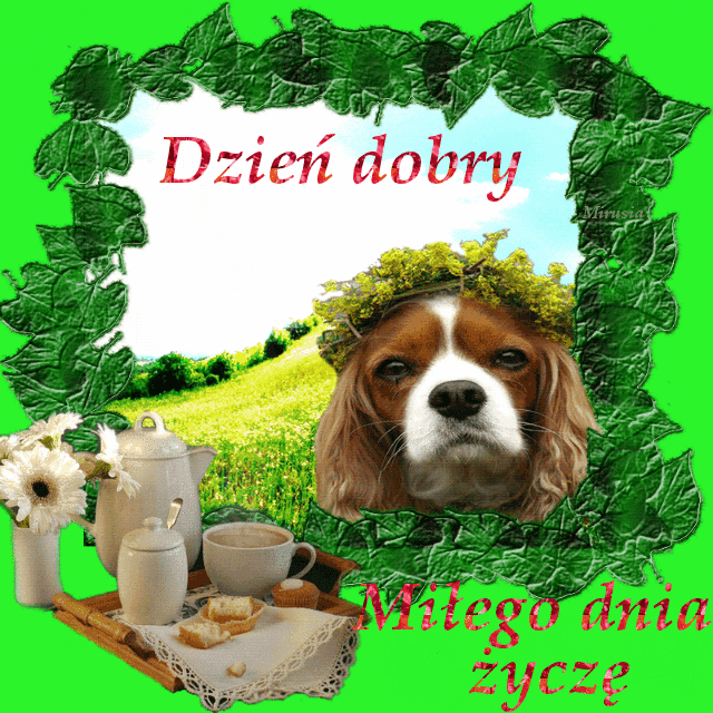 Miłe słowa na dzień dobry! Dzień Dobry! Miłego dnia życzę!