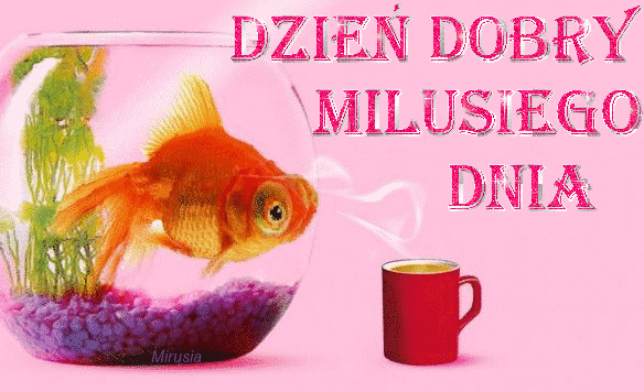 Miłe słowa na dzień dobry! Dzień Dobry! Życzenia miłego dnia na dzień dobry!