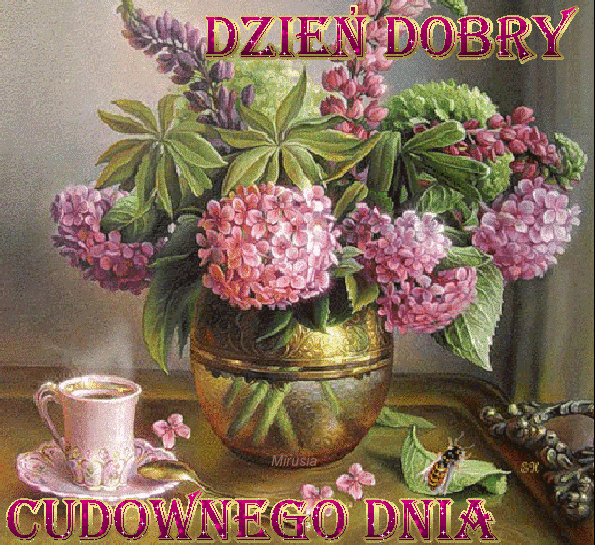 Na dobry dzień! Miłego dnia! Pozdrowienia na miły dzień! Dzień Dobry!