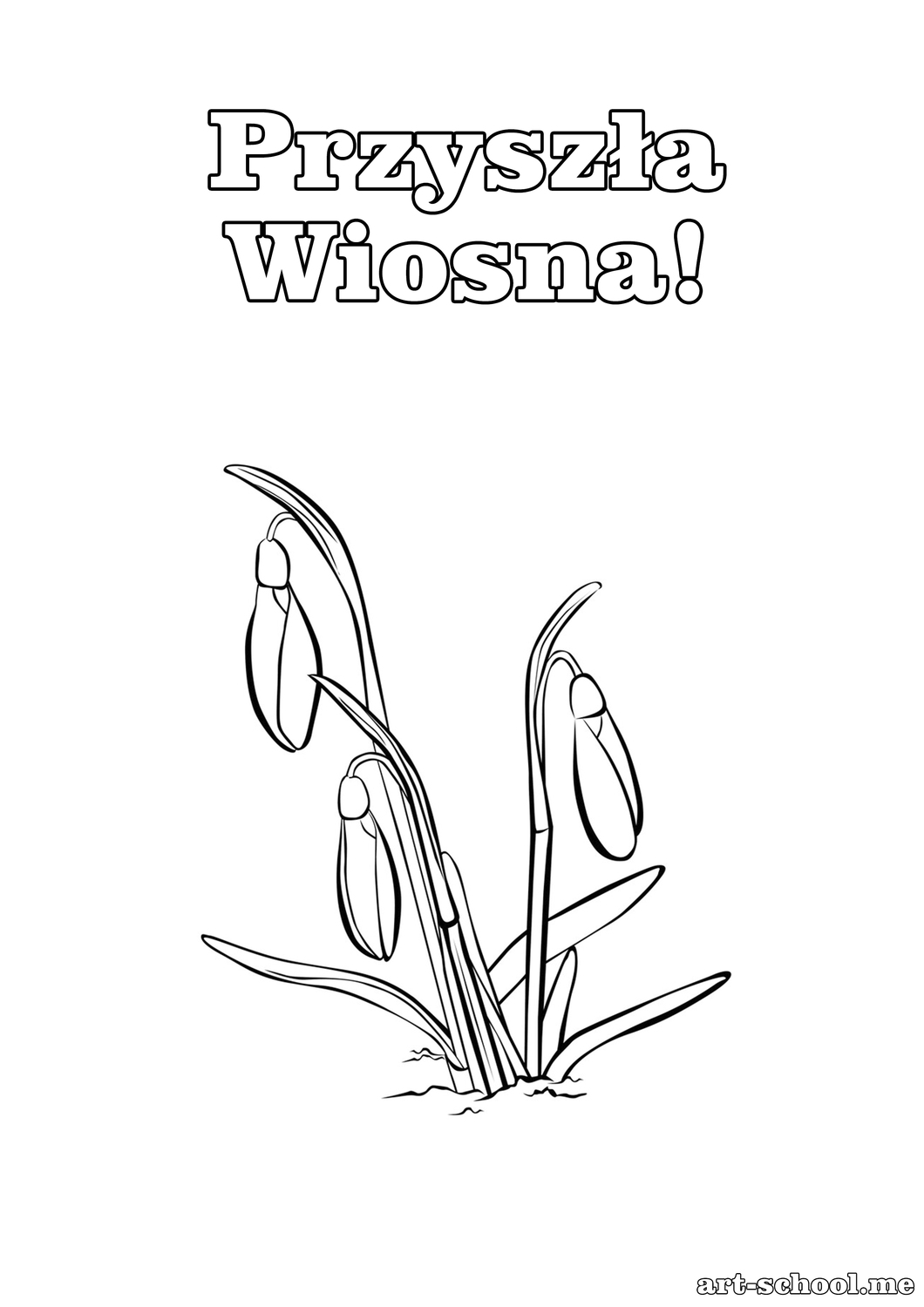 Przyszła Wiosna! Kolorowanka na pierwszy dzień wiosny! Przebiśniegi! Kolorowanka z przebiśniegami!