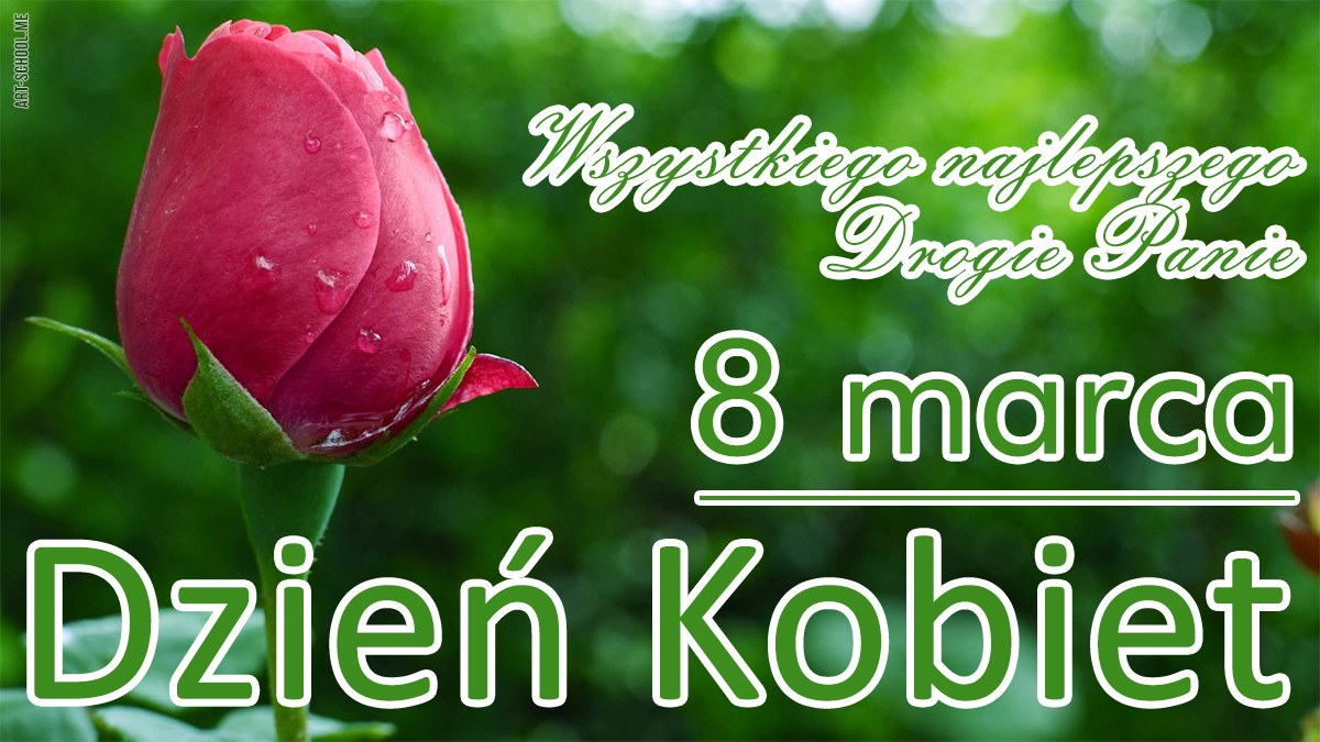 Świąteczna kartka na Dzień Kobiet. Kartka do WhatsAppa! 8 marca – Dzień Kobiet!