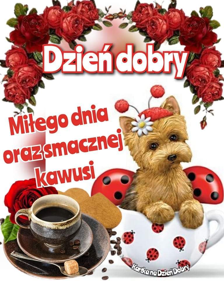 Dzień dobry! Miłego dnia życzę! Kawusia dla Ciebie!