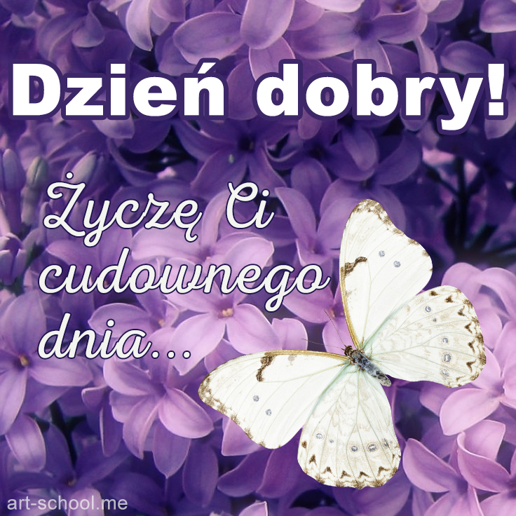 Ekartka Dzien Dobry! Milego Dnia! Kartka z bzem i motylem!