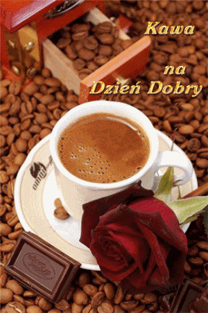 Gify na dzien dobry! Kawa!
